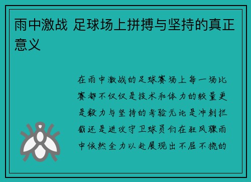 雨中激战 足球场上拼搏与坚持的真正意义