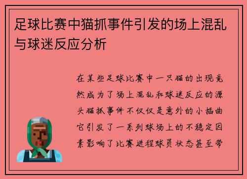 足球比赛中猫抓事件引发的场上混乱与球迷反应分析