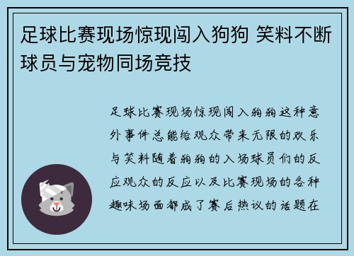 足球比赛现场惊现闯入狗狗 笑料不断球员与宠物同场竞技