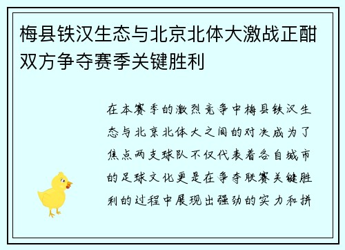 梅县铁汉生态与北京北体大激战正酣双方争夺赛季关键胜利
